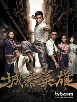 《城寨英雄国语》：拳拳到肉的动作盛宴，乱世中的热血传奇，致敬经典热血！